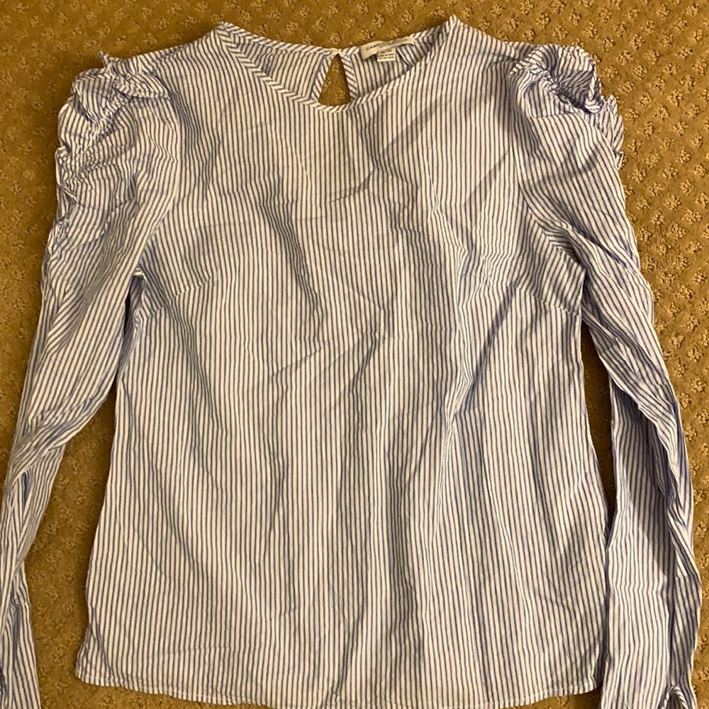 Ruffled Blue Top for Women